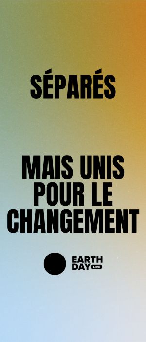 Publicité 2